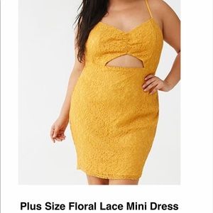 Beautiful Lace mini dress (plus size)